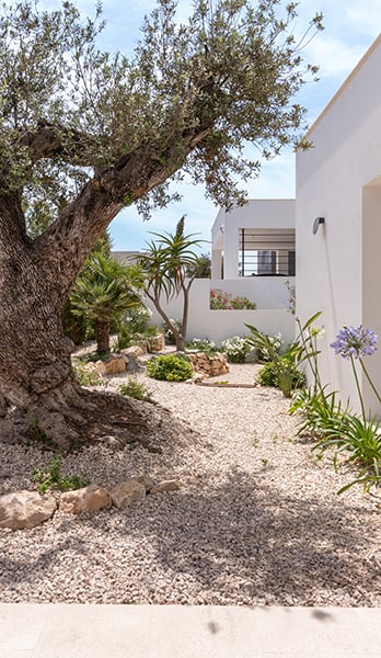 Garden next to main entrance
