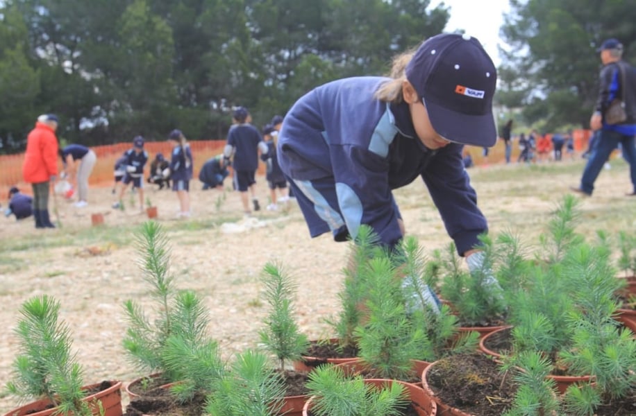 The II Edition of the Day of the Tree was a great success